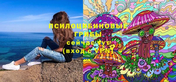 mdpv Арсеньев